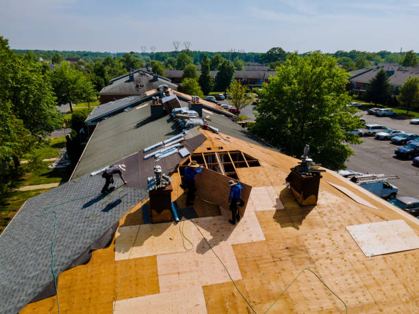 Trusted Roof Installation service in Pedro, OH - Brentwood Metal Roofing